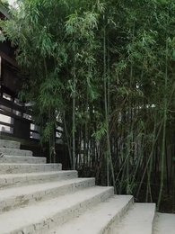 Disabled Lord's Beloved Wife - Episode 76