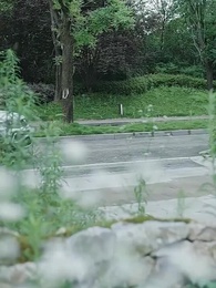 Episode 20 - Why Women Kill