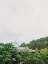 Disabled Lord's Beloved Wife - Episode 20