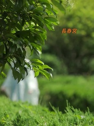 第23話 - 宮廷·夢紡ぐ恋