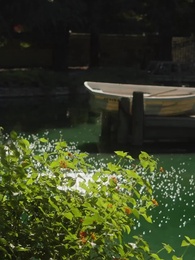 Episódio 72 - Me Chame Alpha