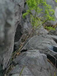 財迷小王妃 - Episode 9