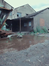 絶世の龍 - Episode 35