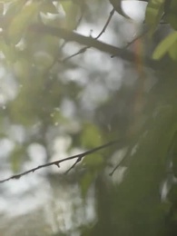 Episódio 18 - Me Chame Alpha