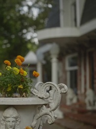 Episódio 49 - Me Chame Alpha