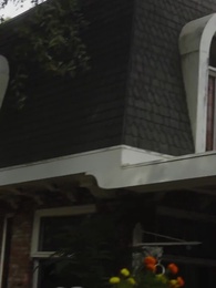 Me Chame Alpha - Episode 35