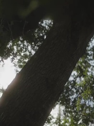 Episódio 2 - Me Chame Alpha