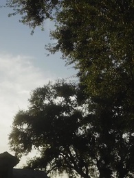 Episódio 8 - Me Chame Alpha