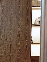 Episode 76 - The Rich Girl and Her Double