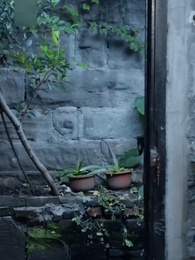 誤診された私は大暴れする！ - Episode 74