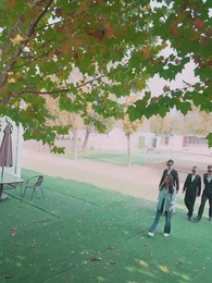 第73集 - 韓總夫人喊你搶菜了