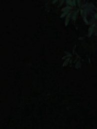 El Alfa Prohibido - Episode 17