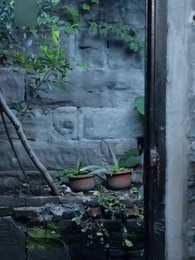 สะใภ้ซ่าแม่ย่าแสบ - Episode 74