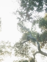 El Alfa Prohibido - Episode 62