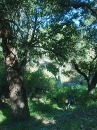 El Alfa Prohibido - Episode 12