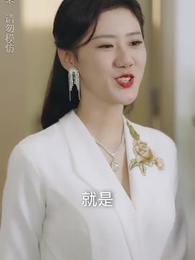 第21集 - 師娘，我下山找總裁老婆去了