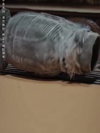 第14集 - 氣運將至