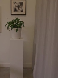 Episode 35 - My Poor Ex-wife Is a Heiress