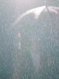 星月念念不忘 - Episode 31