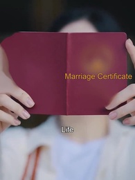 From a Street Vendor to a Lady Boss - Episode 6