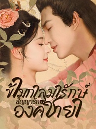 ข้ามกาลมารักษ์: สัญญารักองค์ชายา