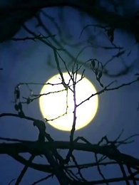 Love Transcending Time and Destiny - Episode 34