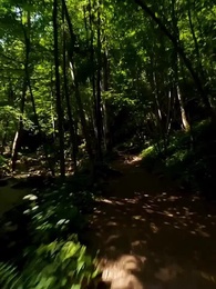 Chosen by the Moon - Episode 1