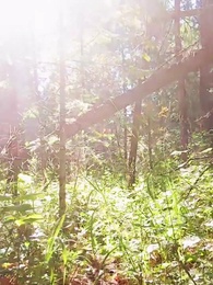 Episode 68 - A Love By Fate