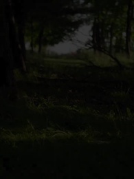 Episode 3 - A Love By Fate