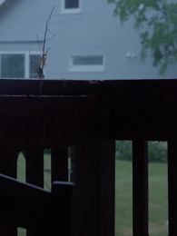 A Love By Fate - Episode 33