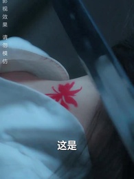 第12集 - 只恨深情不識鳶