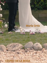Episodio 1 - El secreto de mi pobre esposo ricachón