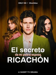 El secreto de mi pobre esposo ricachón