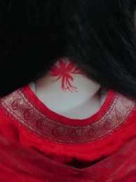 第5集 - 只恨深情不識鳶