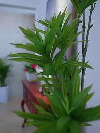 ดวงดาวสุกสกาวเช่นเธอ - Episode 27