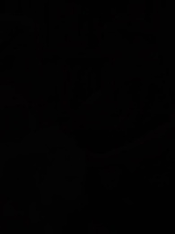 O Despertar - Episode 39