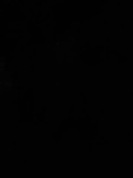 O Despertar - Episode 2