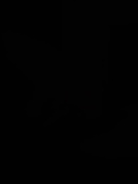 O Despertar - Episode 21