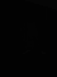 O Despertar - Episode 43