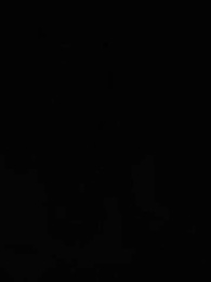 O Despertar - Episode 47