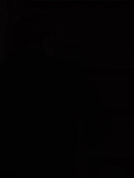 O Despertar - Episode 95