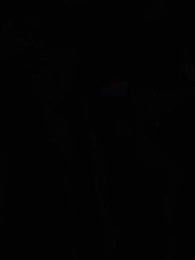 Episódio 27 - O Despertar