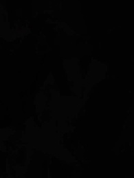 Episódio 65 - O Despertar