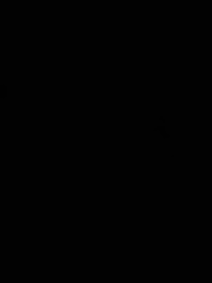 Episódio 41 - O Despertar