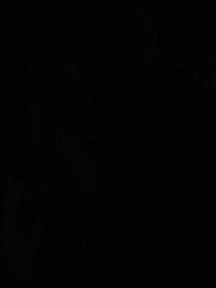 Episódio 4 - O Despertar