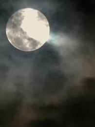 Episodio 28 - Escaparme del Abrazo del Multimillonario