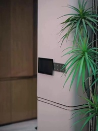 Episode 80 - Fear of Falling in Love