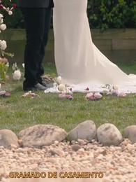 Episódio 1 - Meu Marido Bilionário