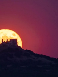 Episode 27 - My Accidental Alpha's Desire