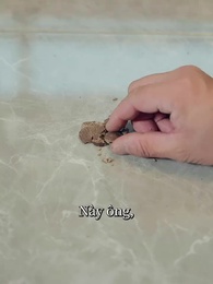 Tập 95 - Long Đế